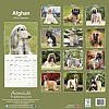 Afghan Hound Calendar - Back Cover